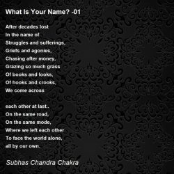 What my name means poem