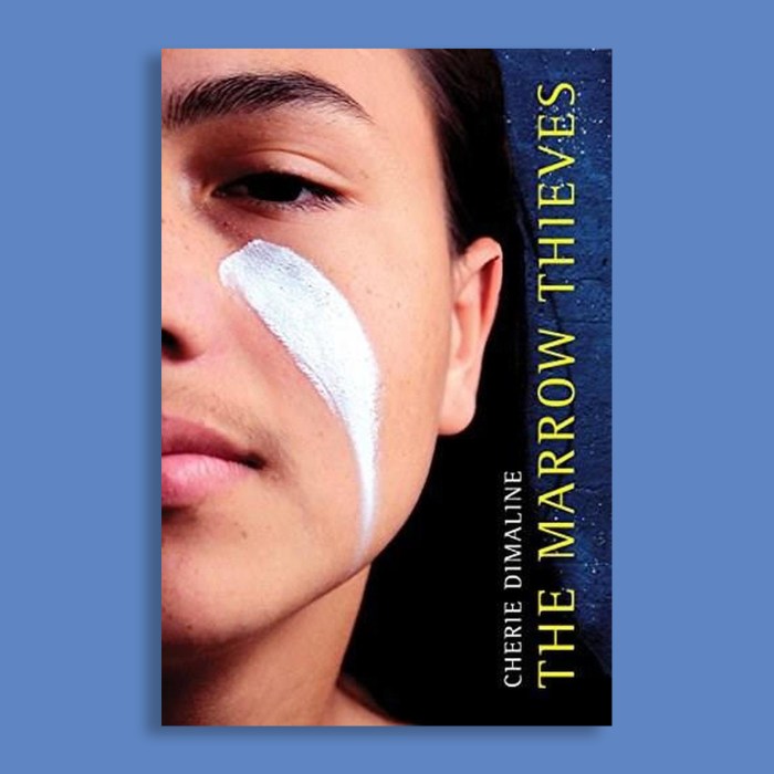 Literary devices in the marrow thieves