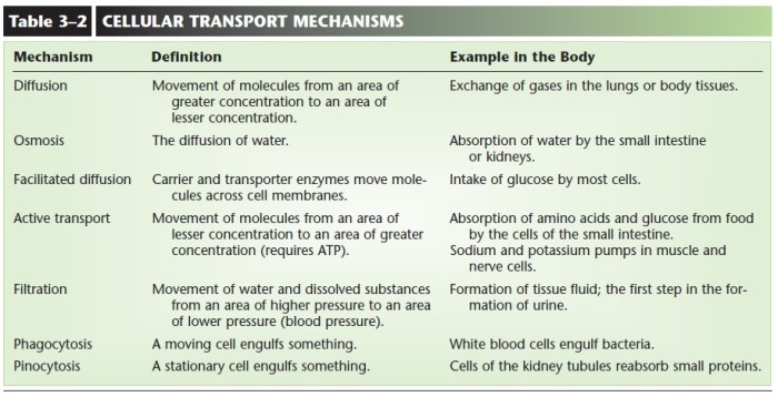 Passive biology diffusion osmosis membrane cellular molecules templateroller excel