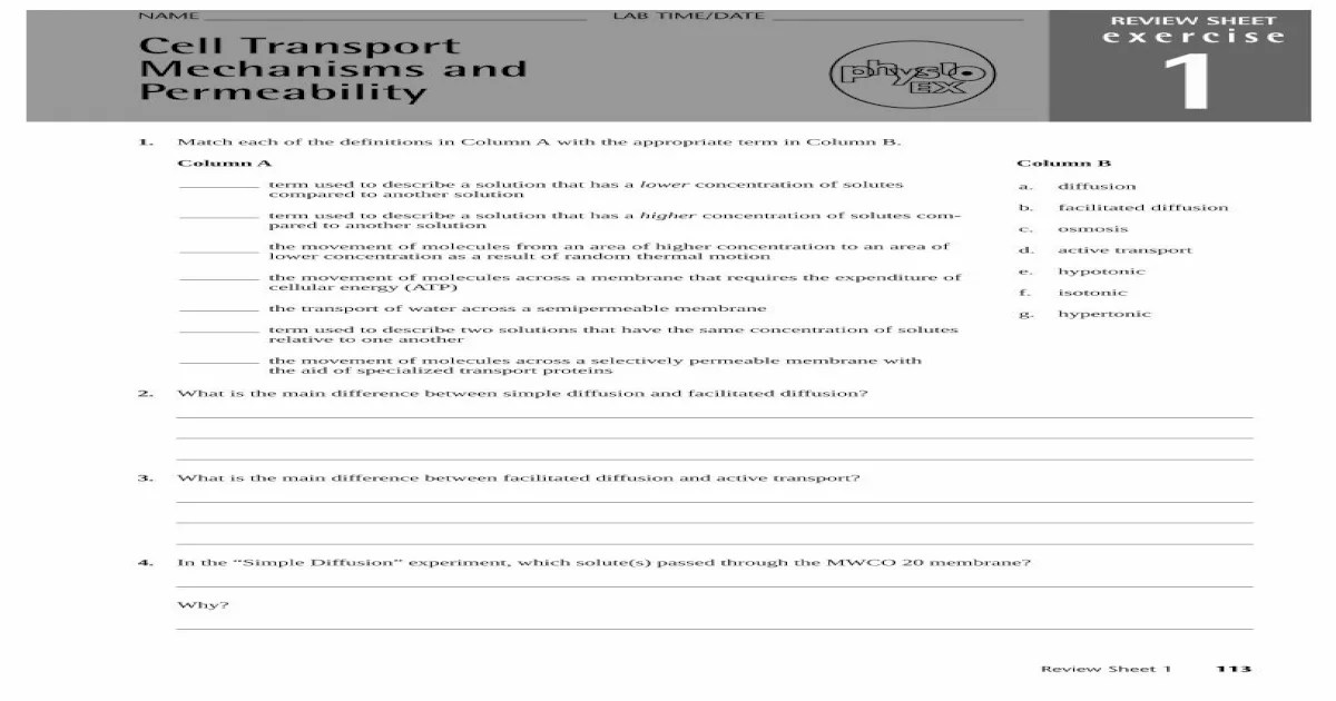 Exercise 5 review sheet the cell transport mechanisms and permeability